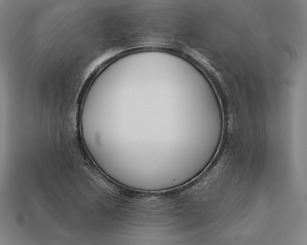 X0000113171222200909181825