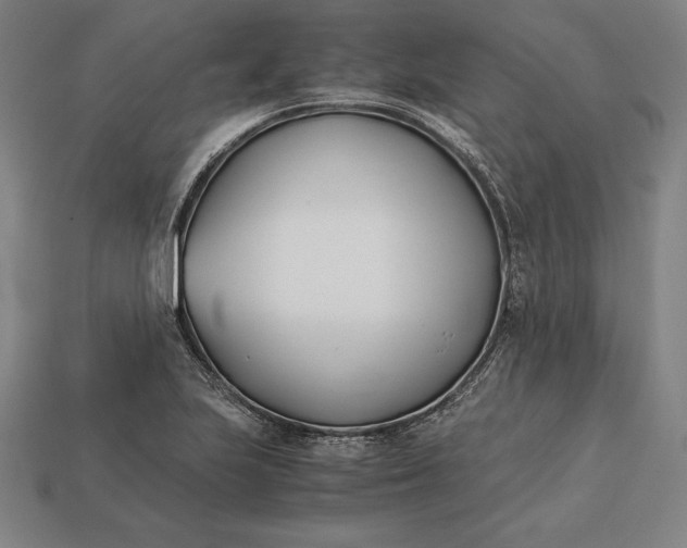 X0000113171223200909181825