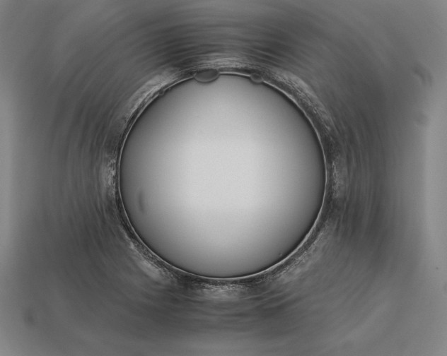 X0000113171225200909181825