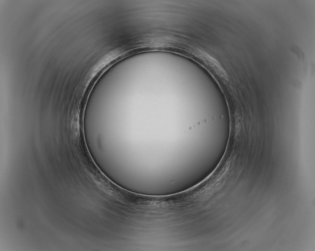 X0000113171226200909181825