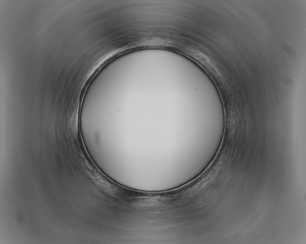 X0000113171228200909181825