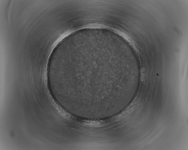 X0000113171229200909181825