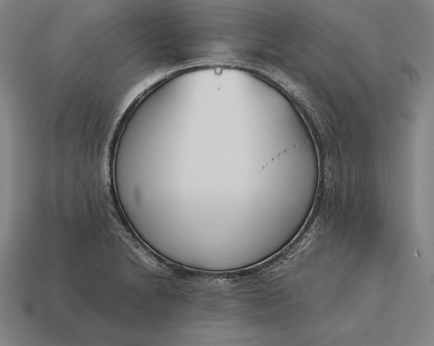 X0000113171230200909181825