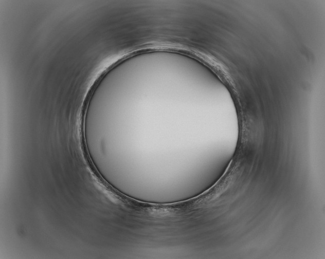 X0000113171231200909181825