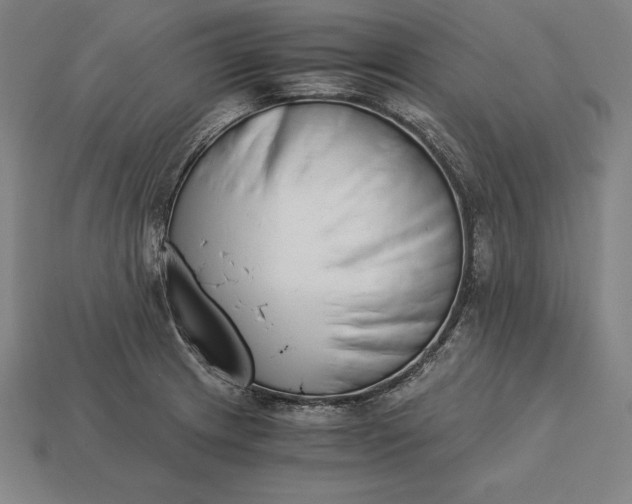 X0000113171233200909181825
