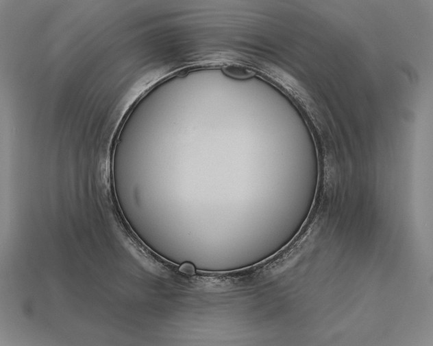 X0000113171234200909181825