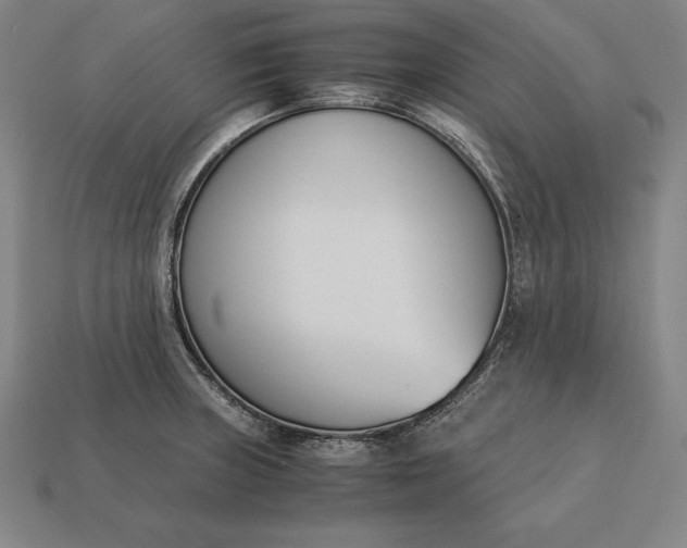 X0000113171235200909181825