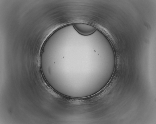 X0000113171236200909181825