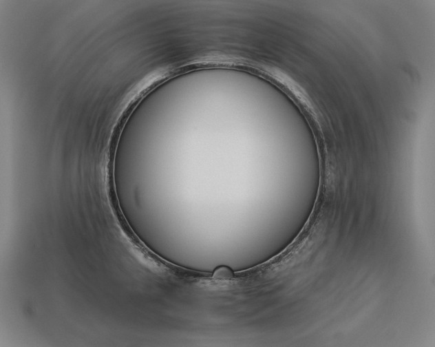 X0000113171237200909181825