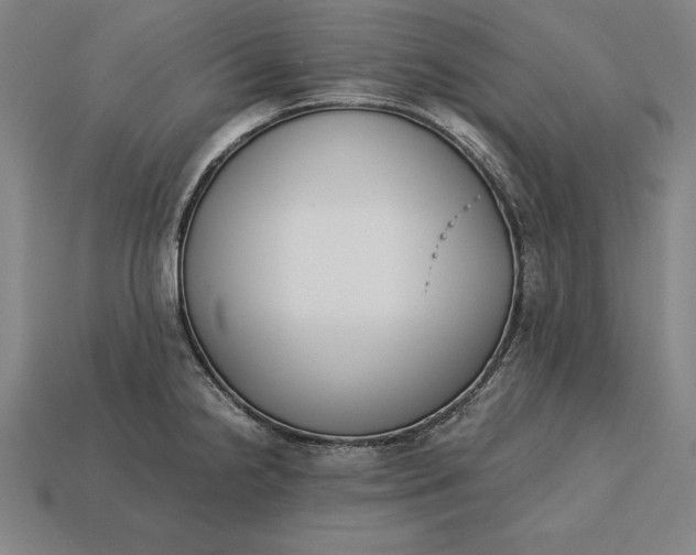 X0000113171238200909181825
