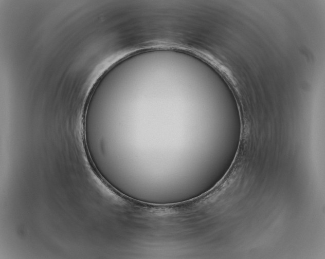 X0000113171239200909181825