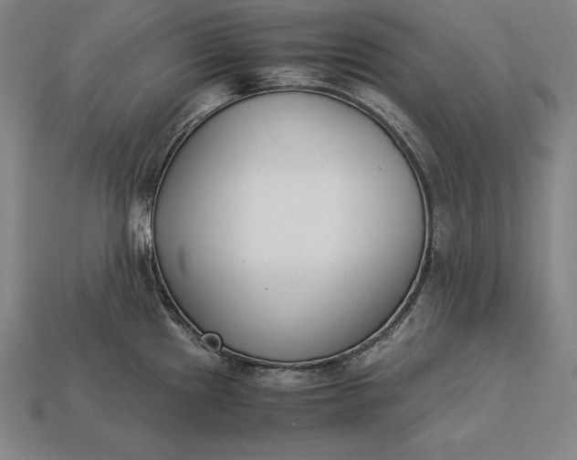 X0000113171241200909181825