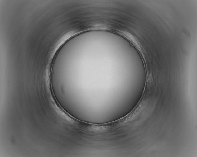 X0000113171243200909181825