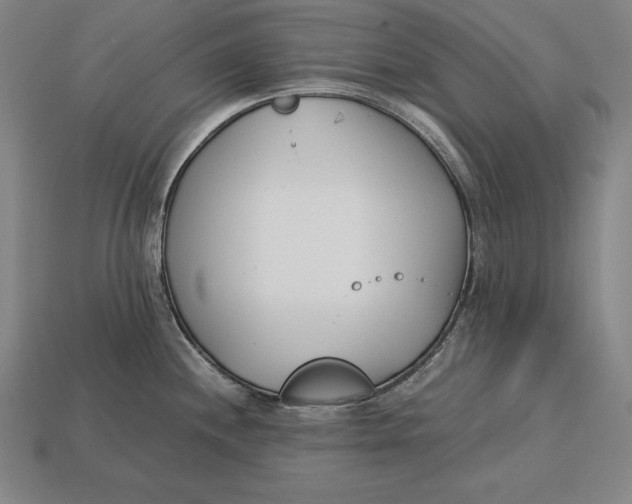 X0000113171244200909181825