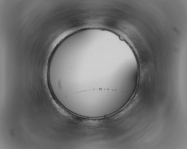 X0000113171245200909181825