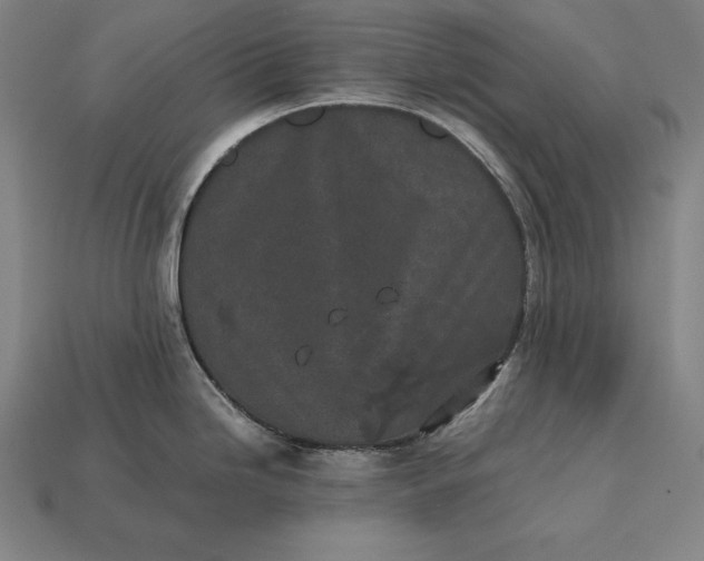 X0000113171246200909181825