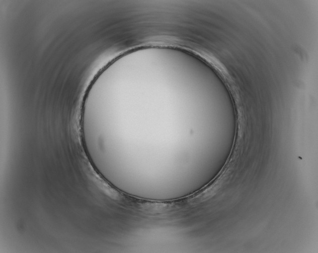 X0000113171248200909181825