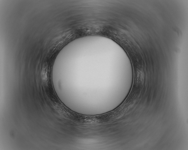 X0000113171250200909181825