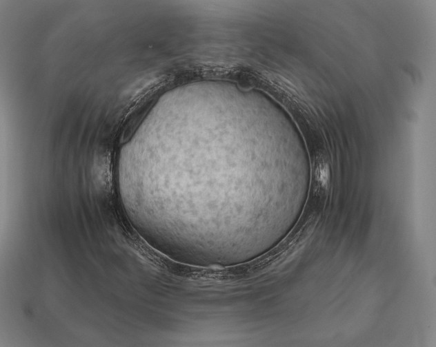 X0000113171252200909181825