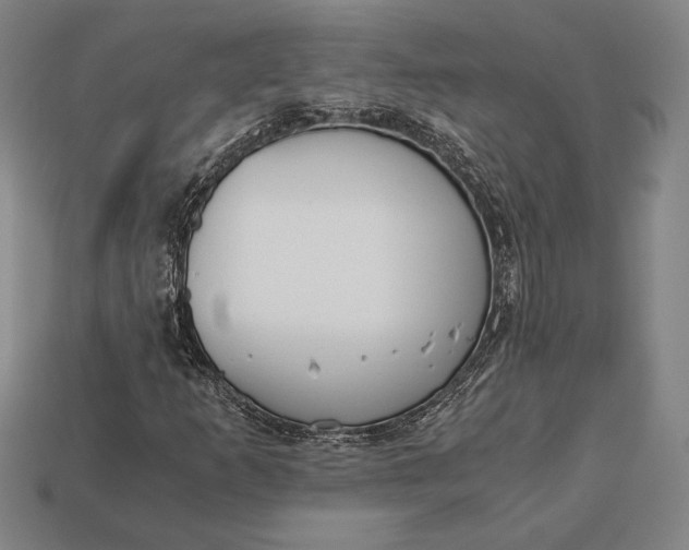 X0000113171253200909181825