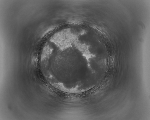 X0000113171254200909181825