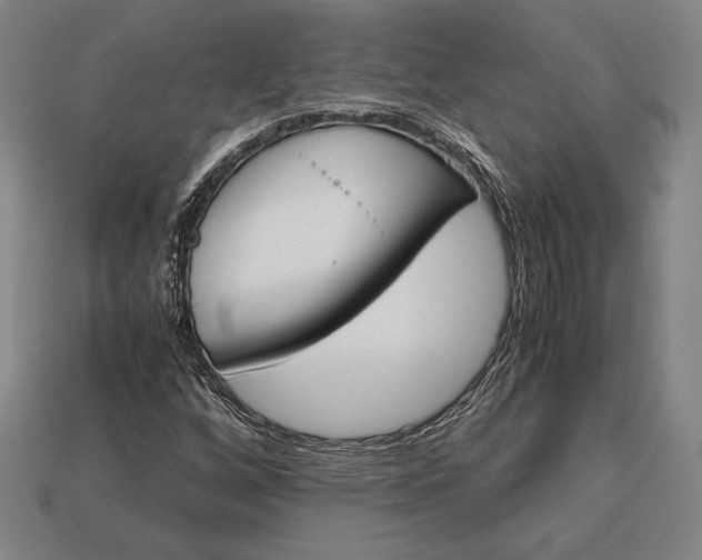 X0000113171256200909181825