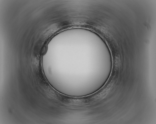 X0000113171257200909181825