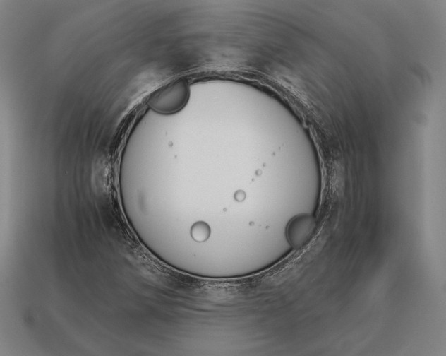 X0000113171258200909181825