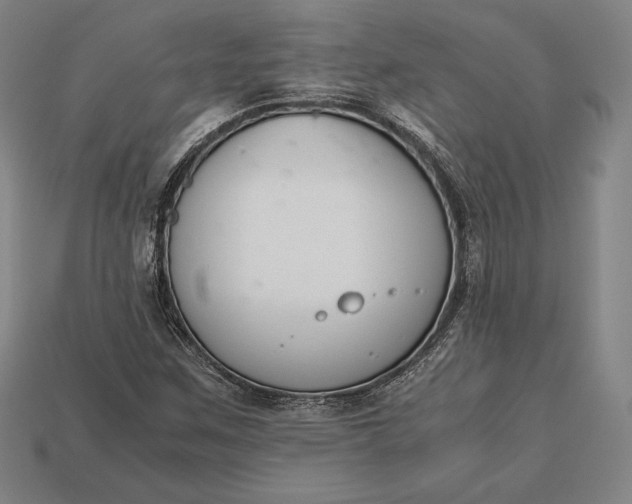 X0000113171259200909181825