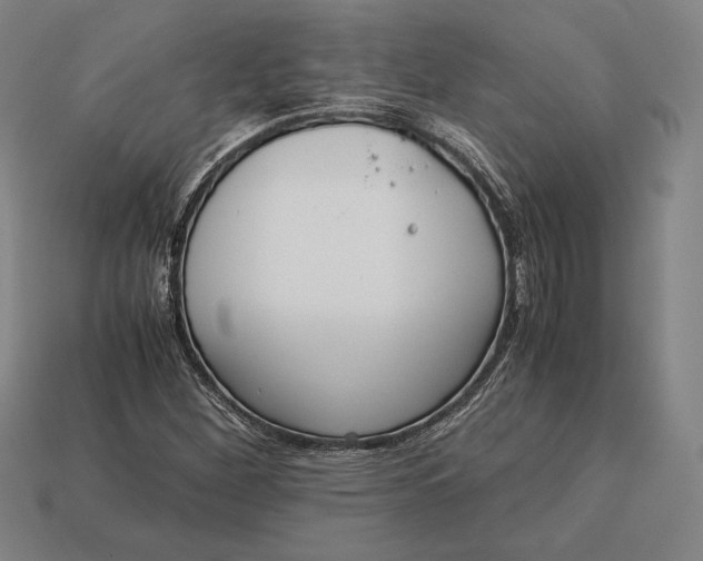 X0000113171260200909181825