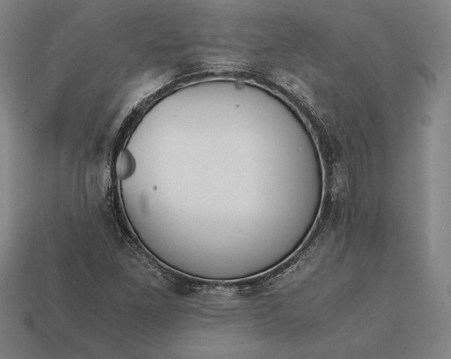 X0000113171261200909181825