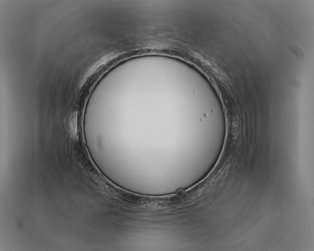 X0000113171262200909181825