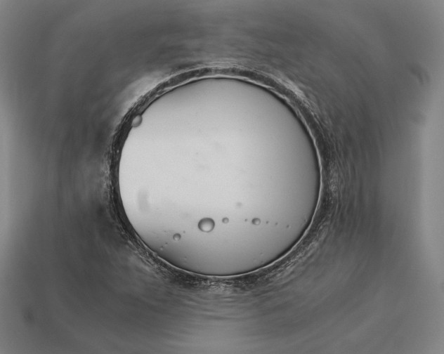 X0000113171263200909181825