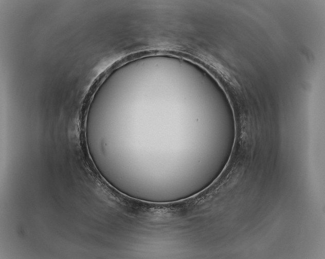 X0000113171264200909181825