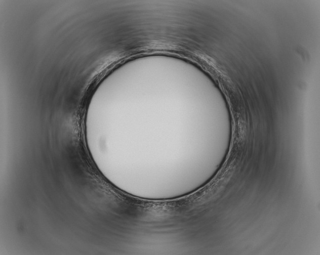X0000113171266200909181824