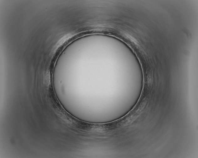 X0000113171267200909181824
