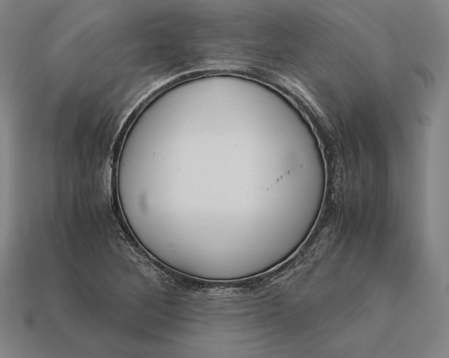 X0000113171268200909181824