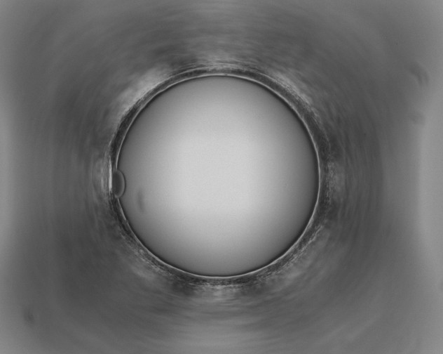 X0000113171269200909181824