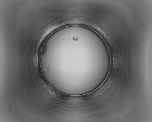 X0000113171270200909181824