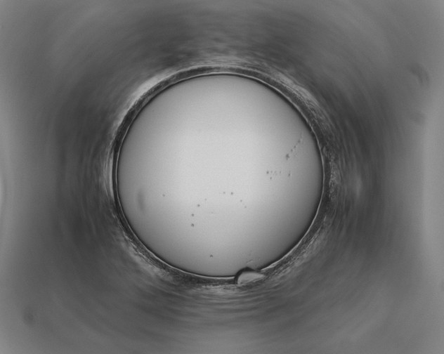 X0000113171272200909181824