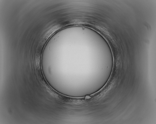 X0000113171273200909181824