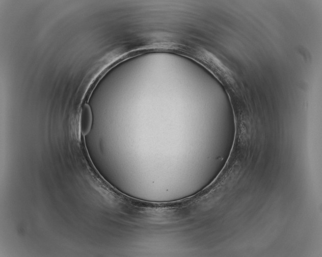X0000113171276200909181824