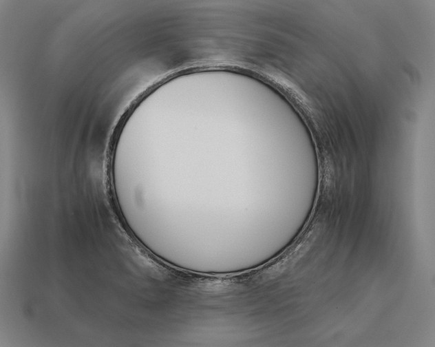 X0000113171278200909181824