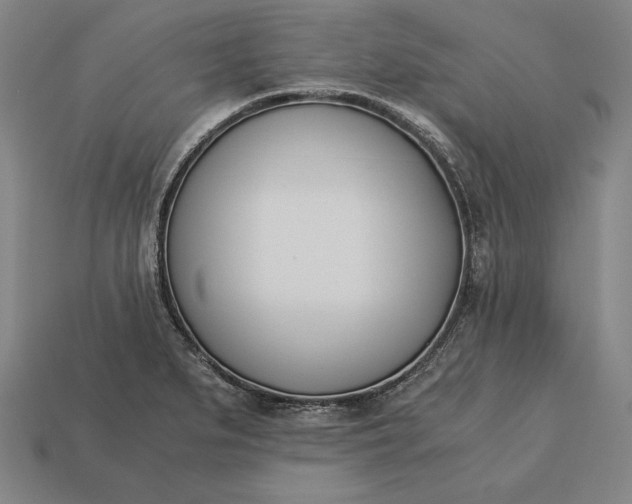 X0000113171279200909181824