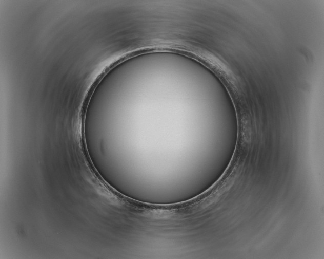 X0000113171280200909181824