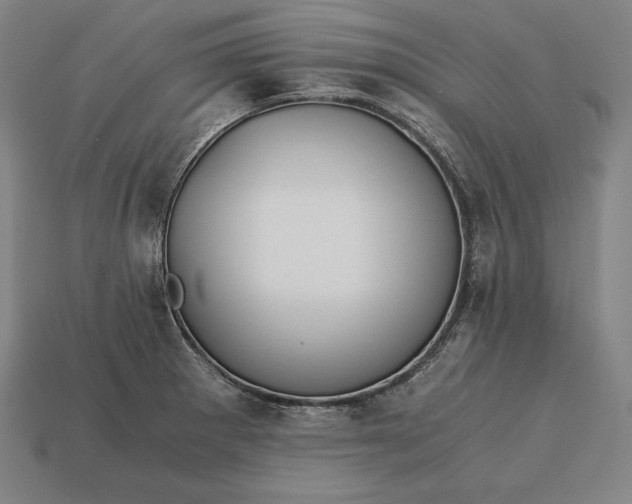 X0000113171281200909181824