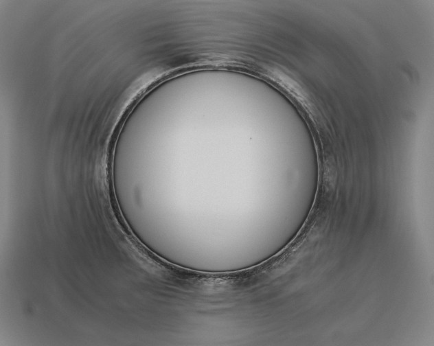 X0000113171283200909181824
