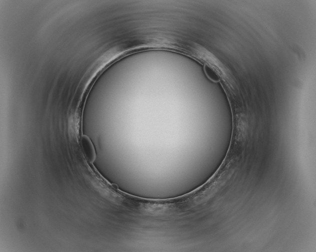 X0000113171284200909181824