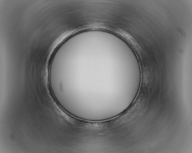 X0000113171286200909181824