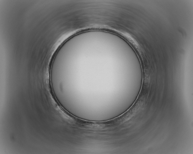 X0000113171287200909181824